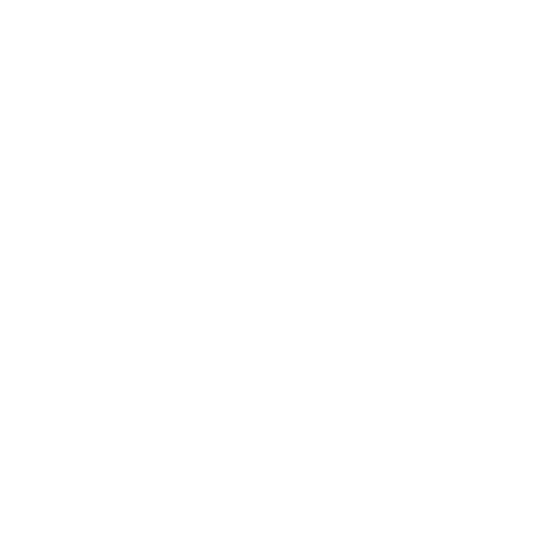Project Aries logo